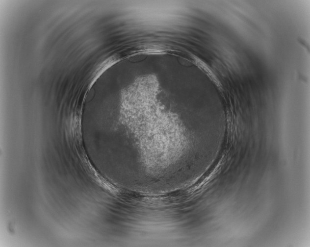 X0000098021194200803281327