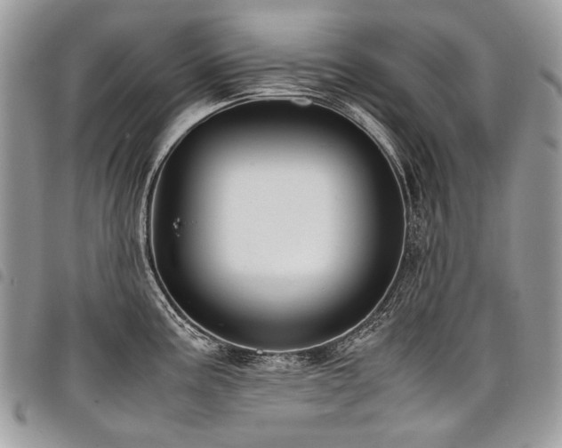 X0000098021195200803281327