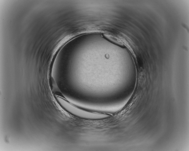 X0000098021197200803281327