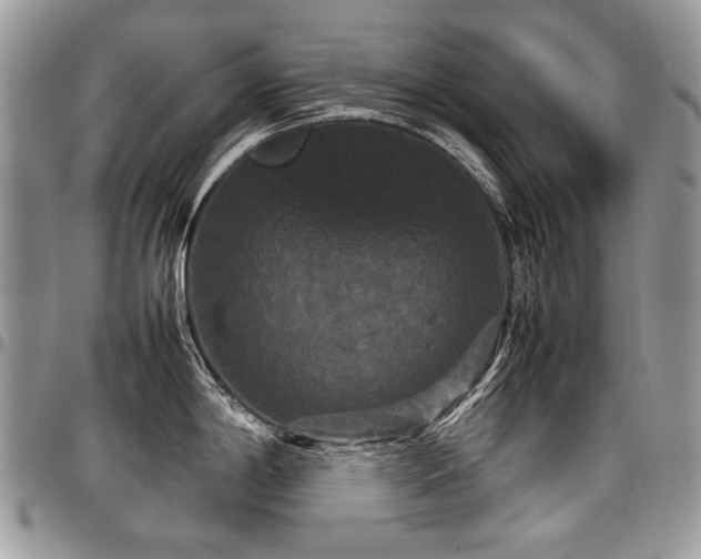 X0000098021198200803281327