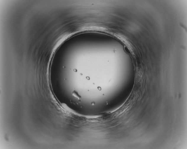 X0000098021199200803281327