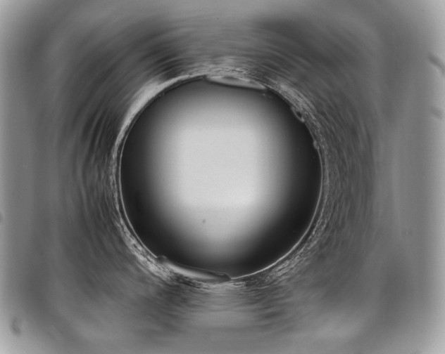 X0000098021200200803281327