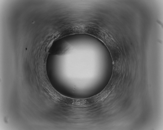 X0000098021201200803281327