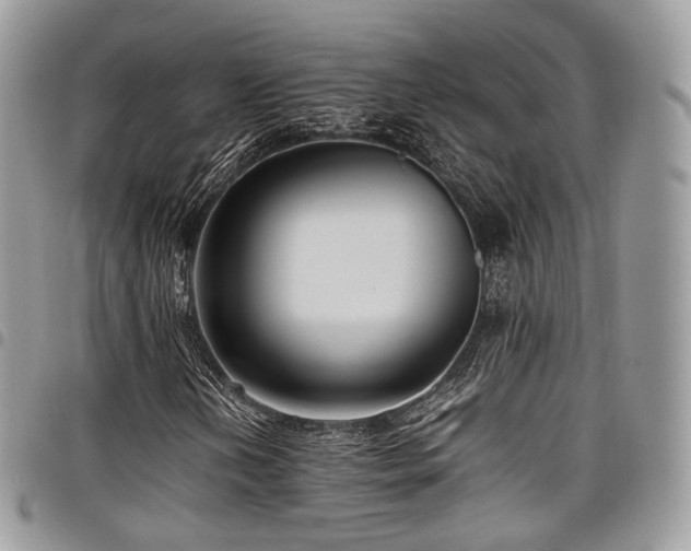 X0000098021202200803281327