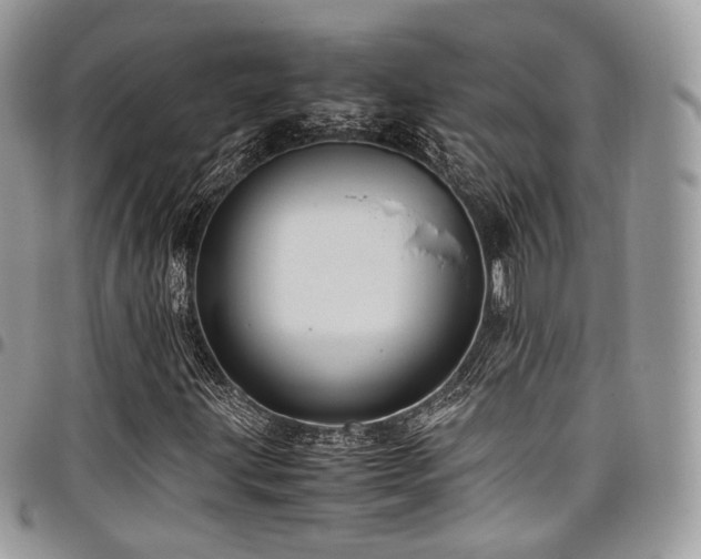 X0000098021203200803281327