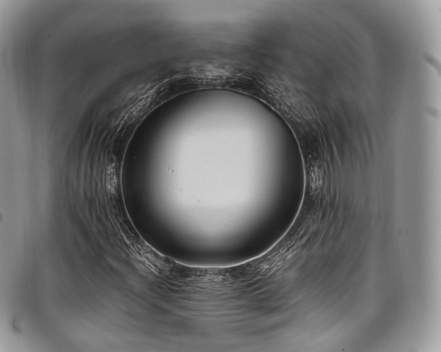 X0000098021204200803281327