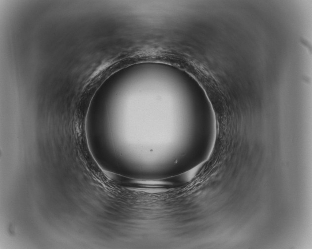 X0000098021206200803281327