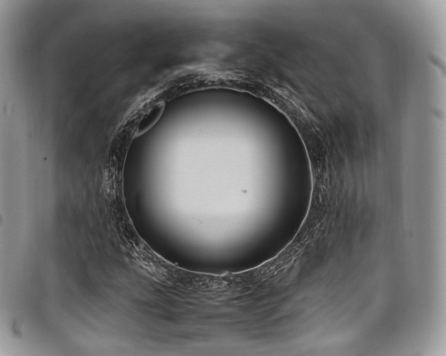 X0000098021207200803281327