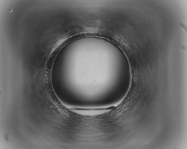 X0000098021208200803281327