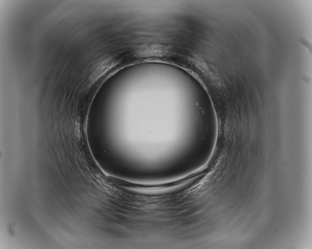 X0000098021209200803281327