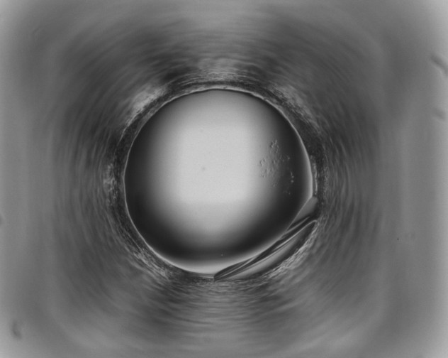 X0000098021210200803281327