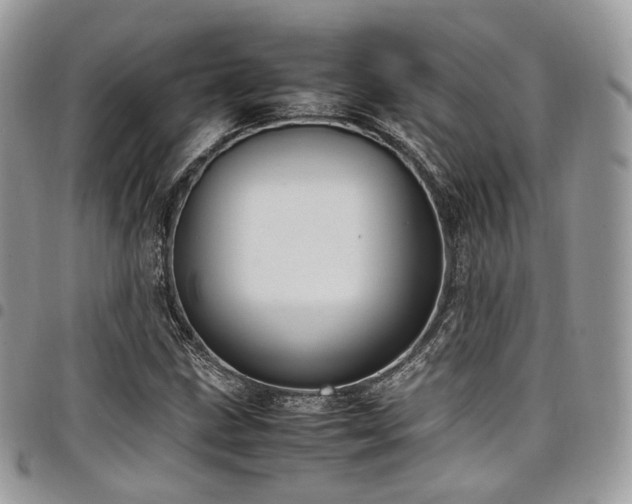 X0000098021211200803281327