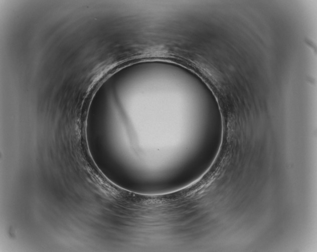 X0000098021212200803281327