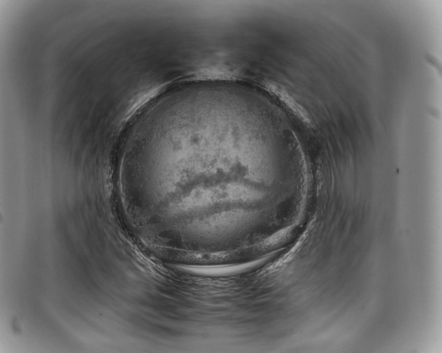 X0000098021213200803281327