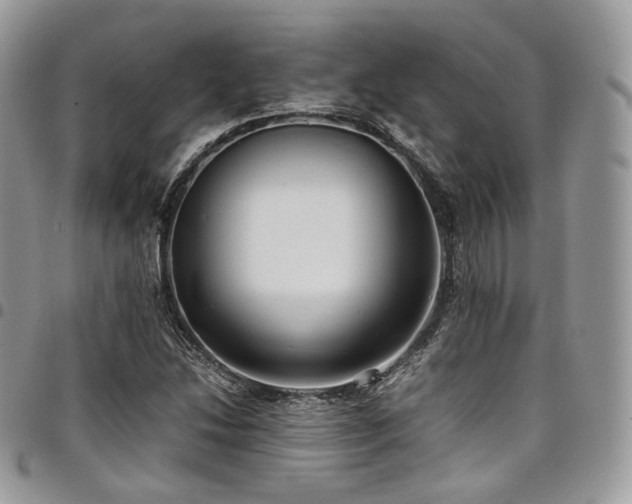 X0000098021214200803281327