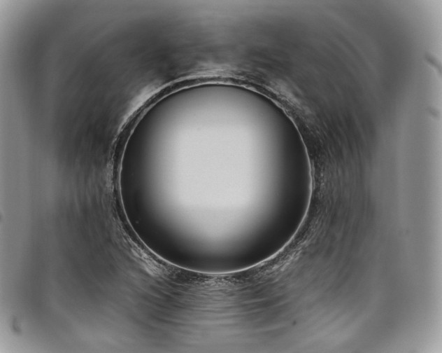 X0000098021216200803281327