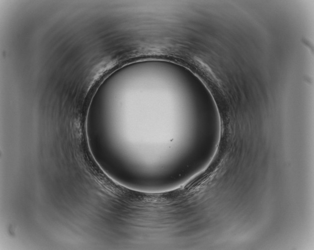 X0000098021218200803281327