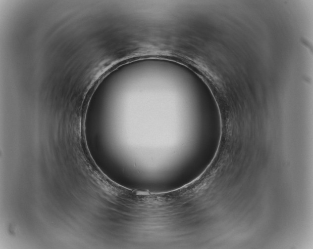 X0000098021220200803281327