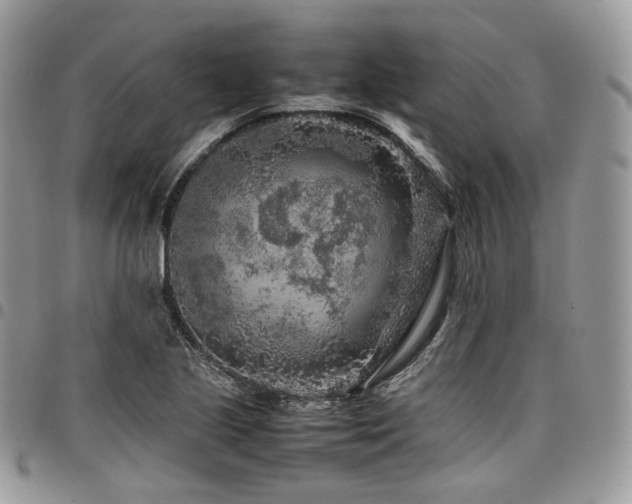 X0000098021221200803281327