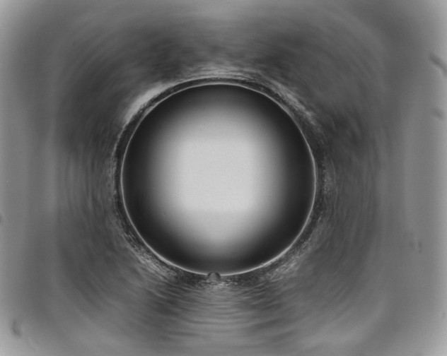 X0000098021222200803281327