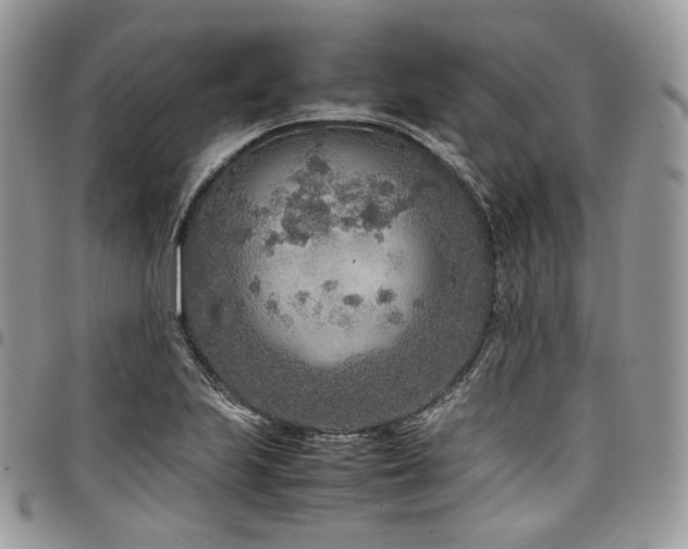 X0000098021223200803281327