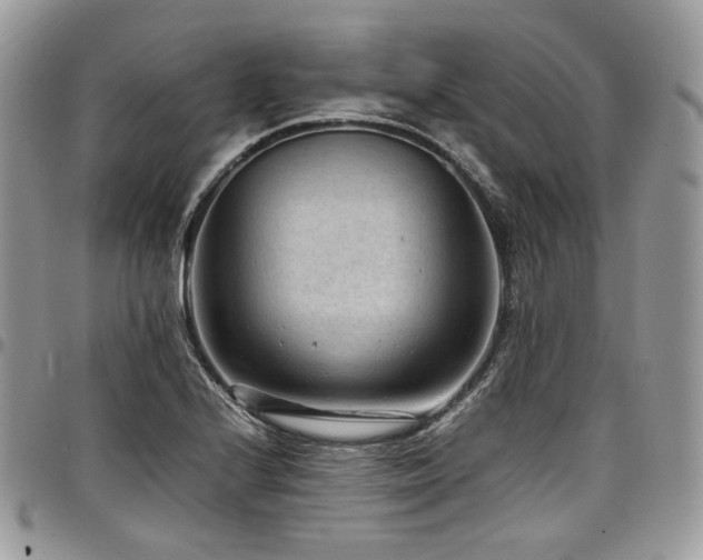 X0000098021224200803281327