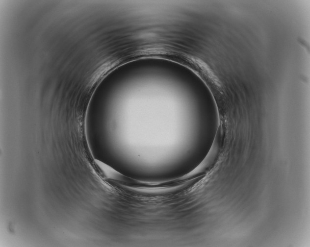 X0000098021225200803281327