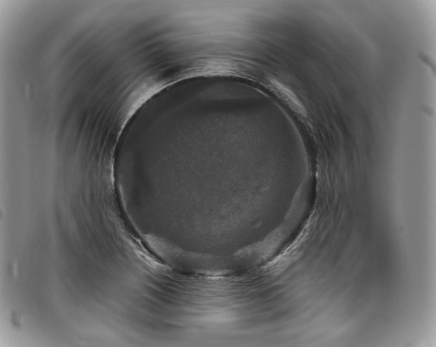 X0000098021226200803281327