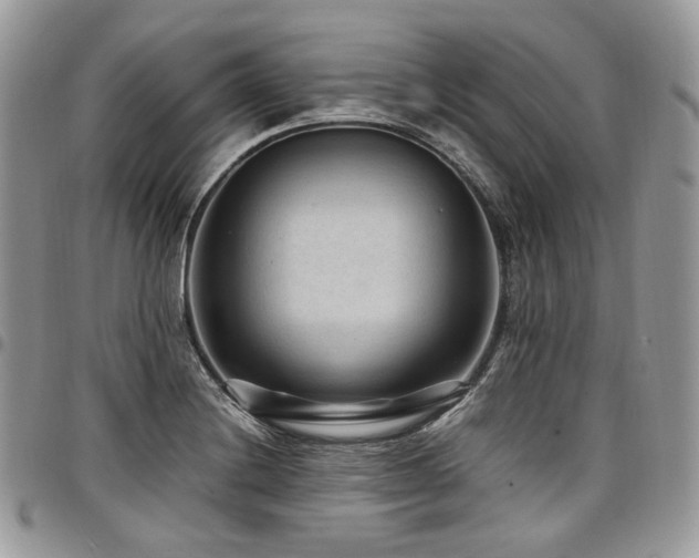 X0000098021228200803281327