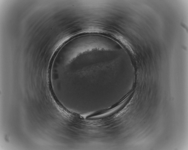 X0000098021229200803281327