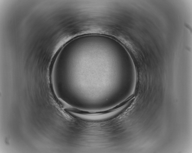 X0000098021230200803281327