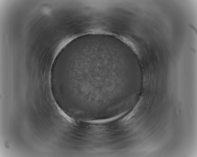 X0000098021231200803281327