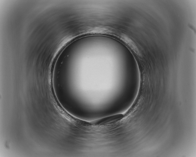 X0000098021232200803281327