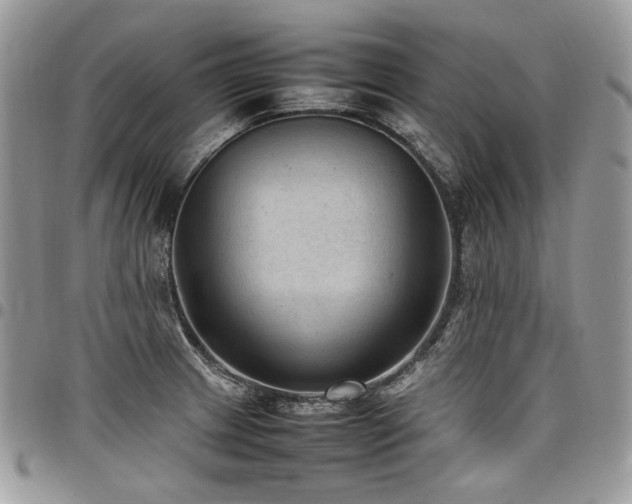 X0000098021233200803281327