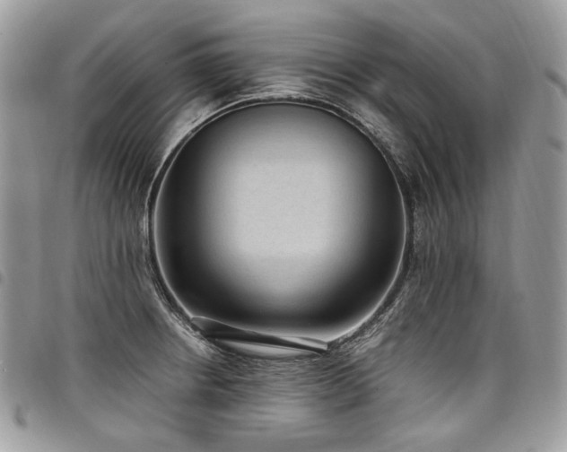 X0000098021234200803281327