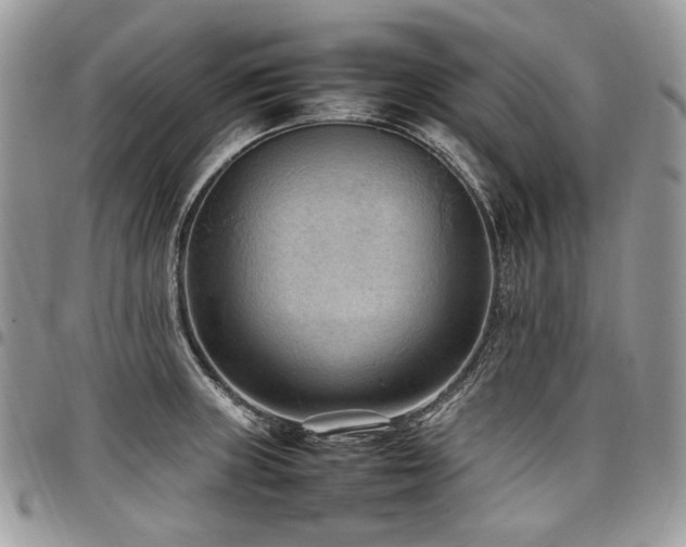 X0000098021235200803281327