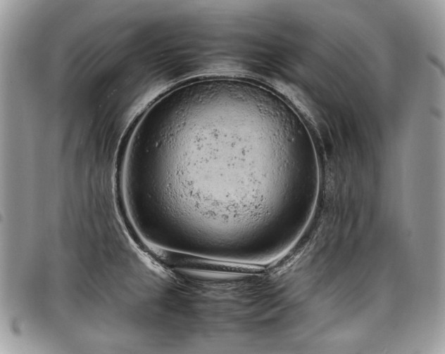 X0000098021237200803281327