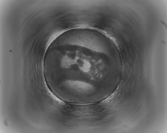 X0000098021239200803281327