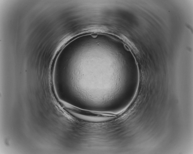 X0000098021240200803281327