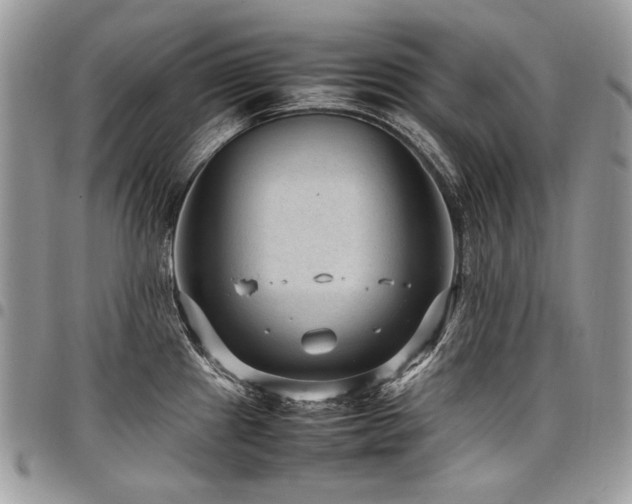 X0000098021241200803281327