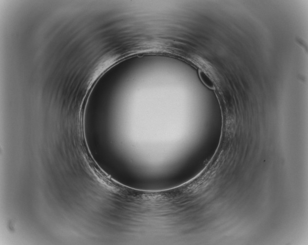 X0000098021242200803281327