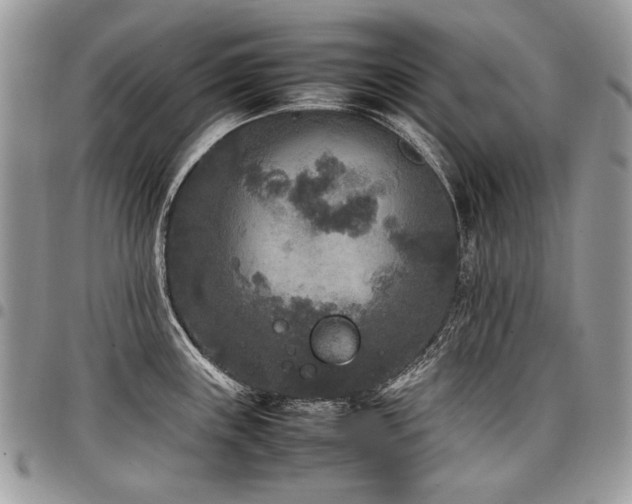 X0000098021243200803281327