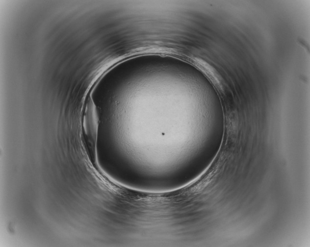 X0000098021244200803281327