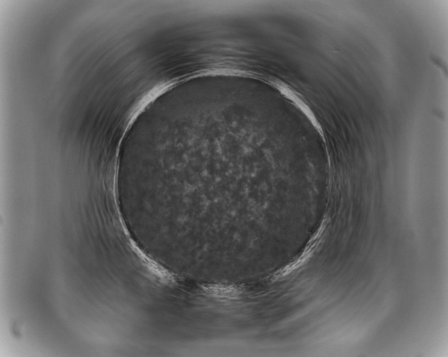 X0000098021245200803281327