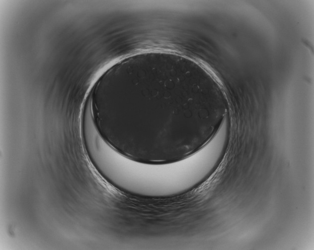 X0000098021246200803281327