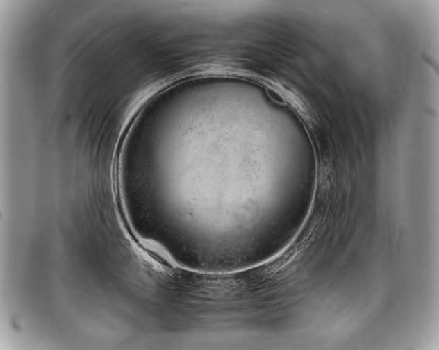 X0000098021247200803281327