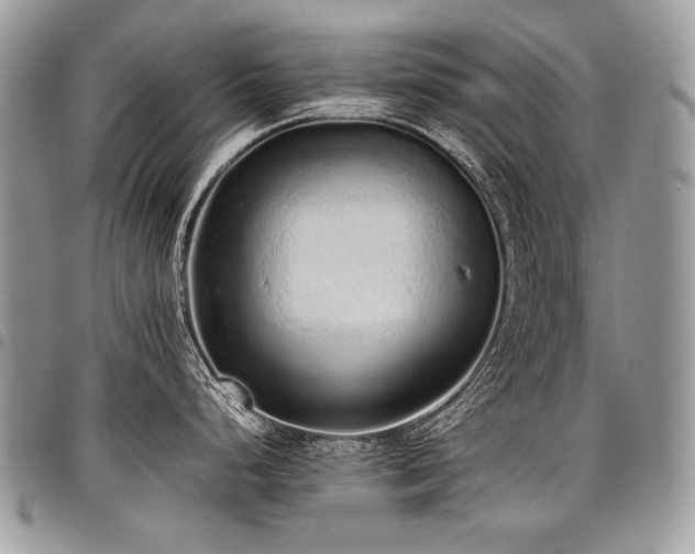 X0000098021248200803281327