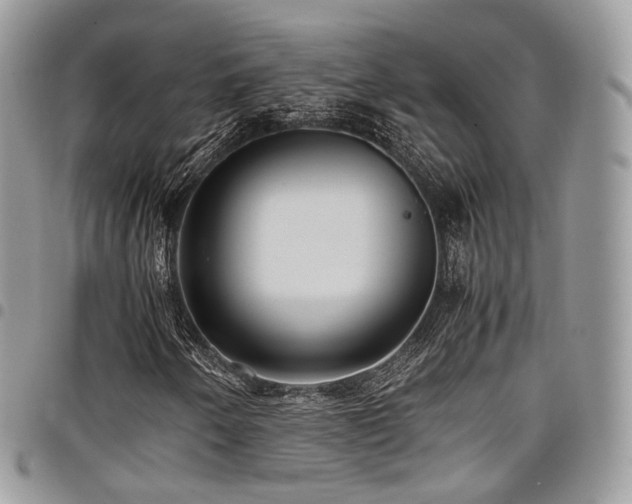 X0000098021250200803281327