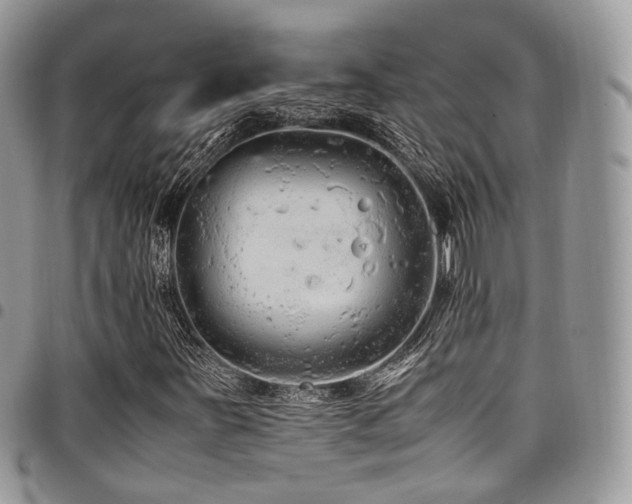 X0000098021251200803281327