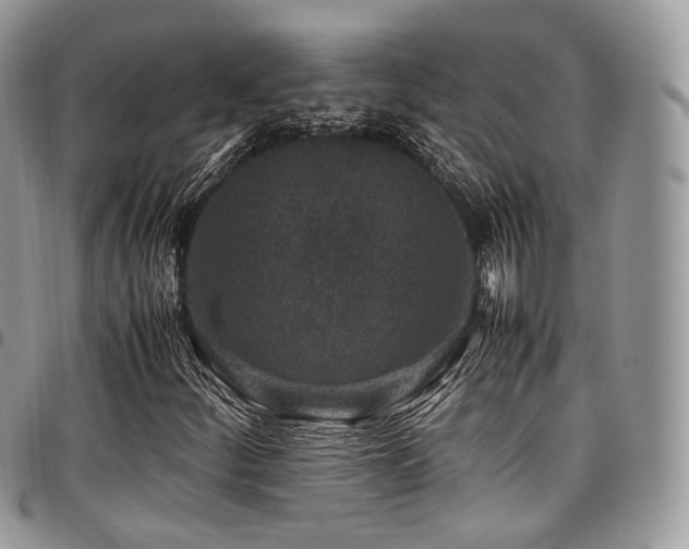 X0000098021252200803281327